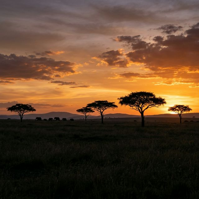 Eyecandy Tours Africa Video